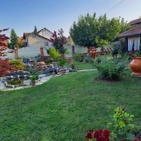 Guest House Rose Smederevska Palanka ภายนอก รูปภาพ