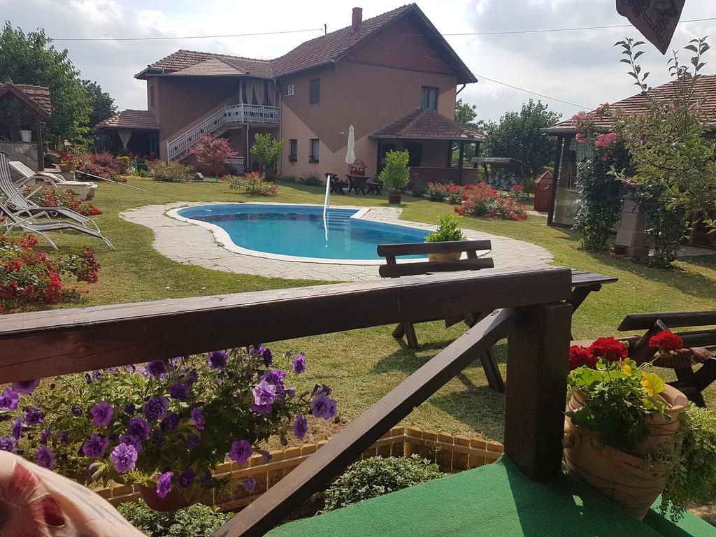Guest House Rose Smederevska Palanka ภายนอก รูปภาพ