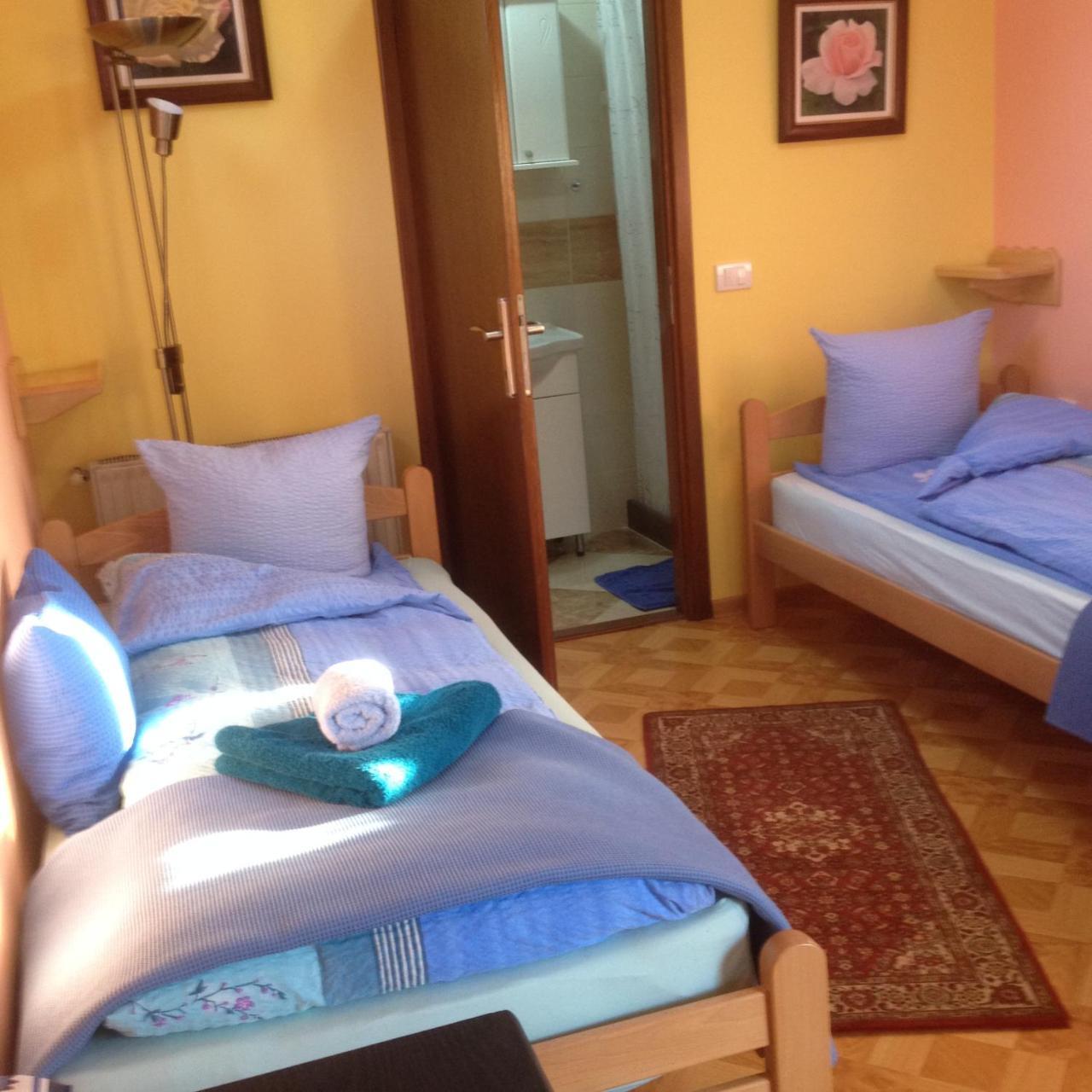 Guest House Rose Smederevska Palanka ภายนอก รูปภาพ