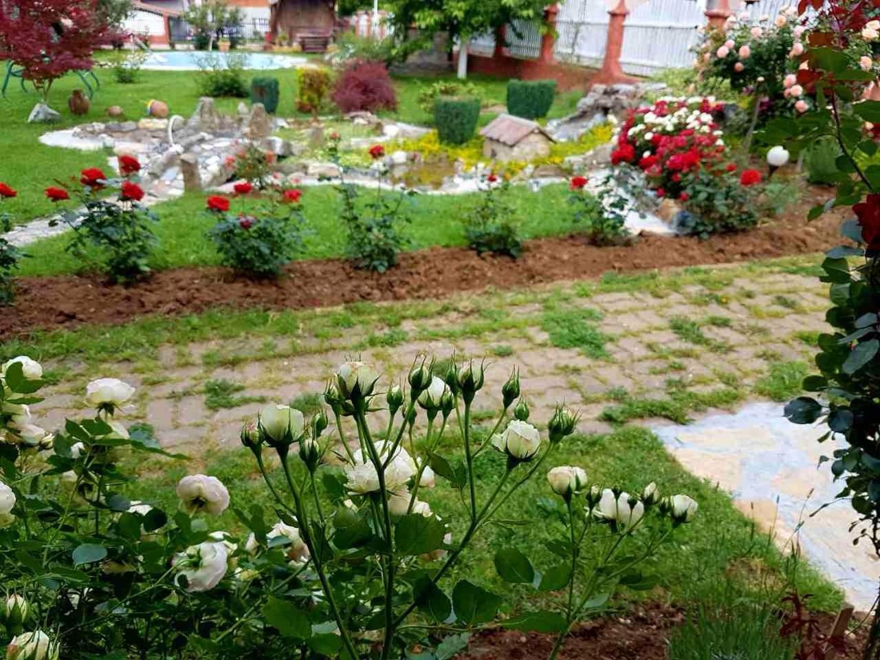 Guest House Rose Smederevska Palanka ภายนอก รูปภาพ